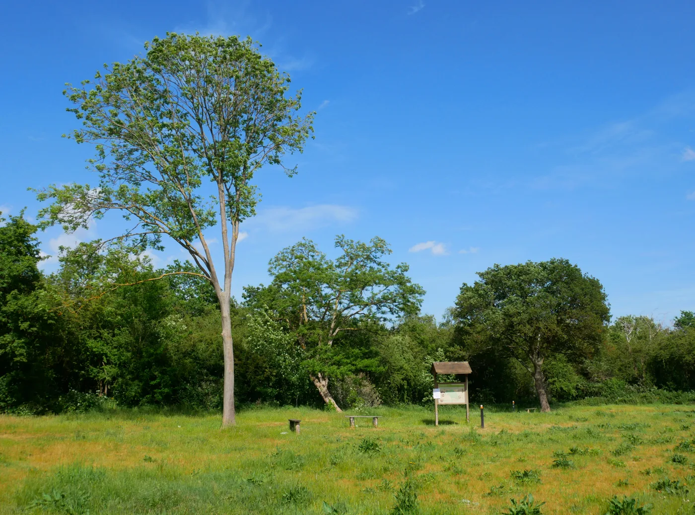 Dartford Heath beside Rochester Way. The tip is on Old Rochester Way, on the heath, not in this picture.